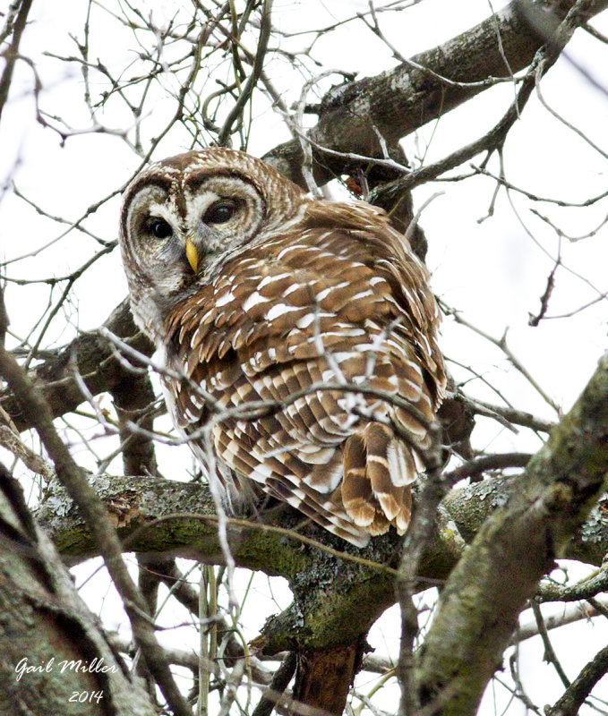 20140210_7725.jpg
