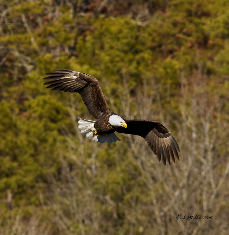 20140213_8669.jpg