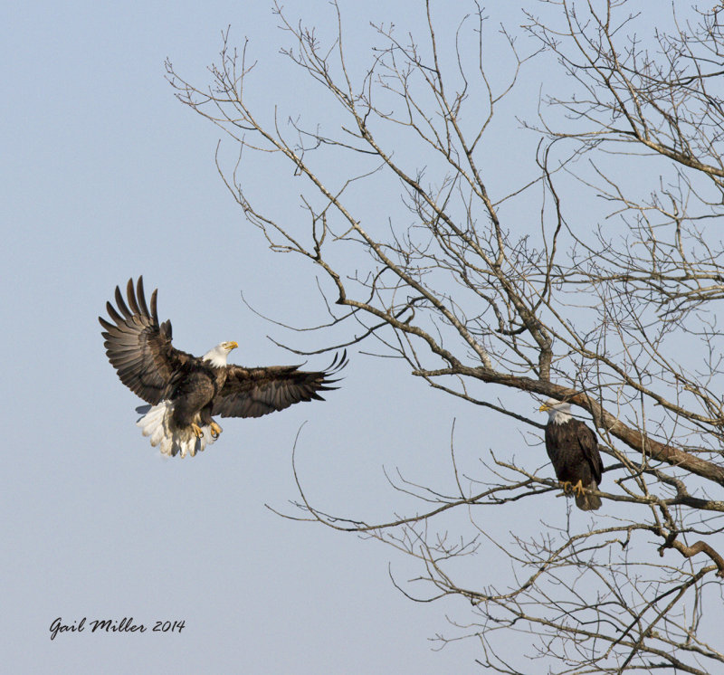 20140213_8691.jpg