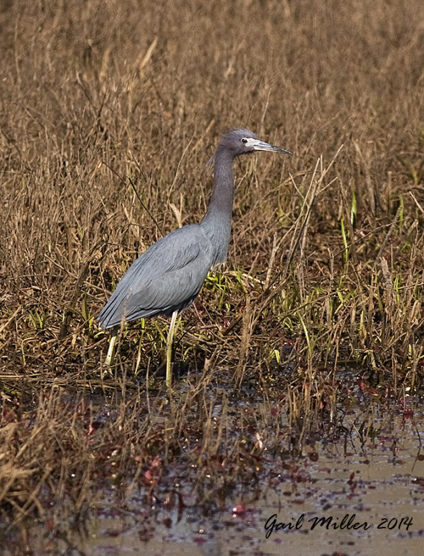 20140319_3830.jpg