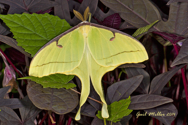 20140721_1297.jpg