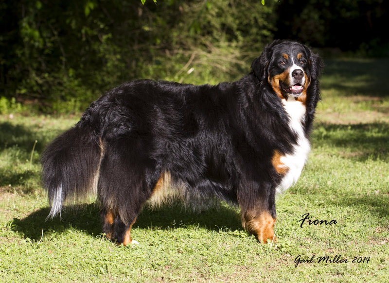 20140422_6356.jpg