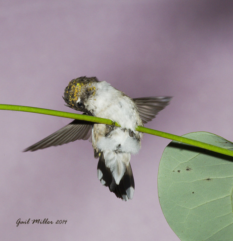 20140915_3379.jpg