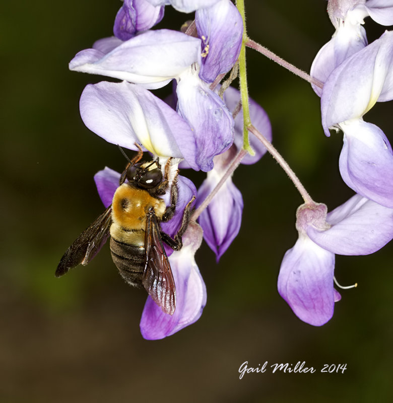 20140420_5819.jpg