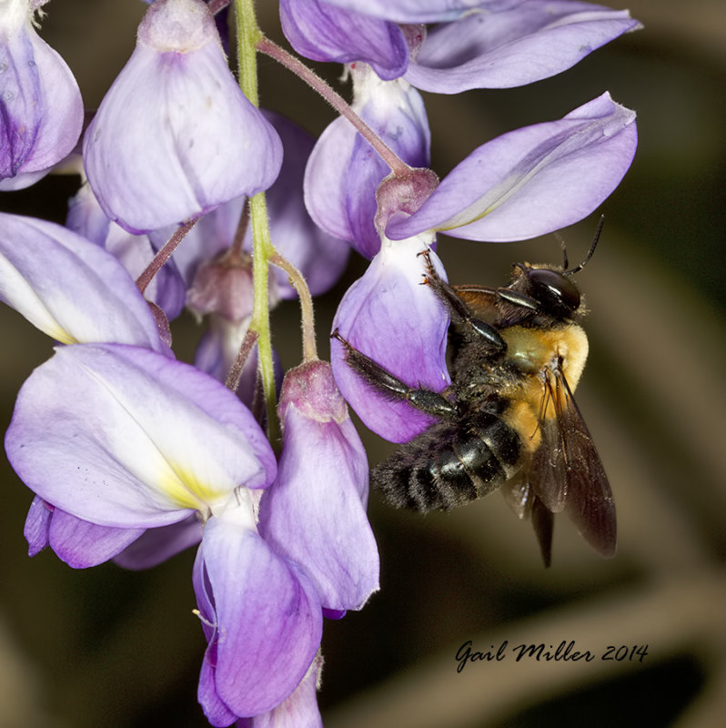 20140420_5822.jpg
