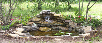 Water Feature In My Yard                 