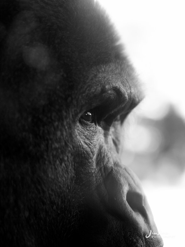 _J090234.jpg