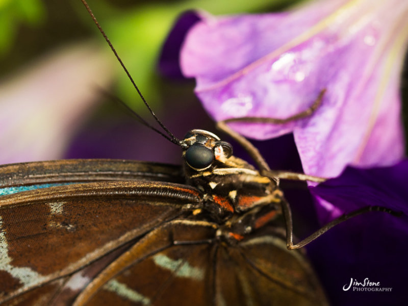 JS120446.jpg
