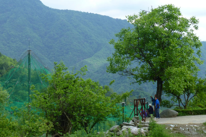 Qingling Mountains, Shaanxi, China