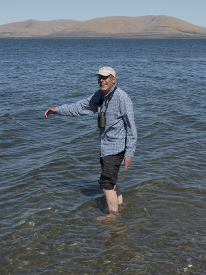 Cold feet in Bering Sea