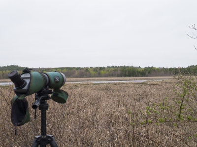 Penjajawoc Marsh