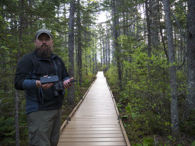 No Spruce Grouse today, either