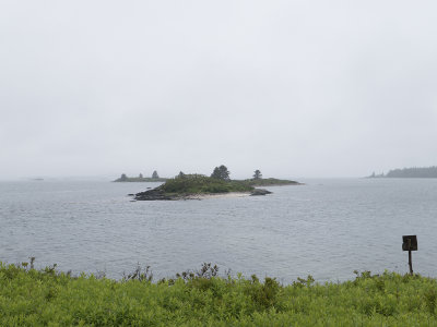 High tide