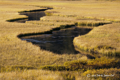 Meadow, Lassen Peak NP