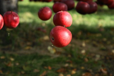 land art 2013 2.JPG