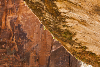 Zion weeping wall