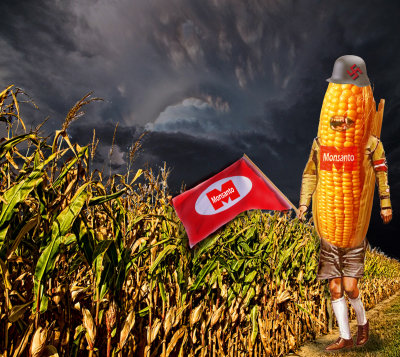 GMO Corn Nazi