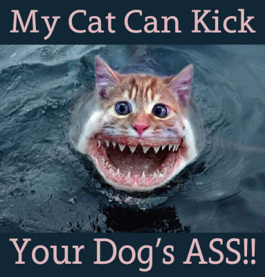 My Cat Can Kick Your Dog's Ass!