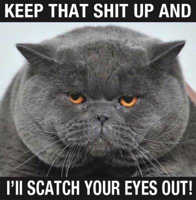 I'm Going To Scratch Your Eyes Out Cat