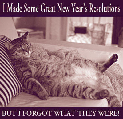 Fat Cat New Year's Resolutions