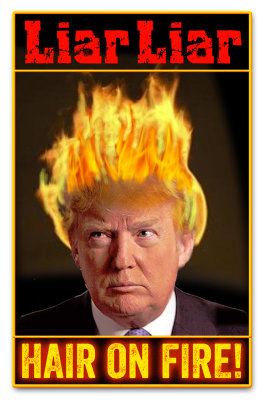 Liar Liar Hair On Fire!