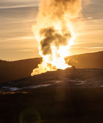 Old Faithful in Yellowstone National Park at Sunset