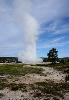 Old Faithful in Yellowstone National Park in the Morning