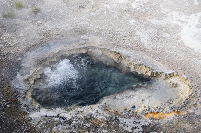 Anemone Geyser in Yellowstone National Park