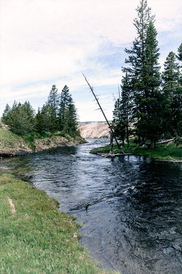 River in Yellowstone National Park
