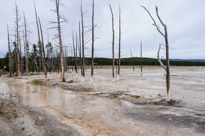 Fountain Paint Pot Area in Yellowstone National Park
