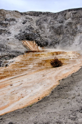 Mammoth Hot Spring Terraces