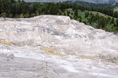 Mammoth Hot Springs in Yellowstone National Park