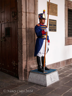 Guard at Governmental Palace