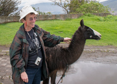 Nancy Crays with Llama Outside Restaurant Near Equator