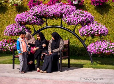 1037015 Dubai Miracle Gardens