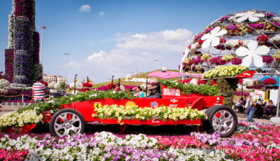 1036988 Dubai Miracle Gardens