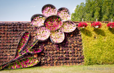 1037043 Dubai Miracle Gardens
