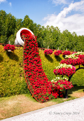 1037035 Dubai Miracle Gardens