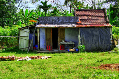 Farm House (3493)