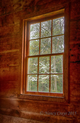 Dogwood Tree Through Church Window (DSC0529)