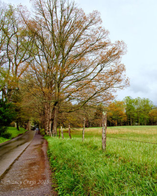 Road along Field (DSC0611)