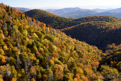 Autumn Leaves in the Mountains from East Fork Overlook