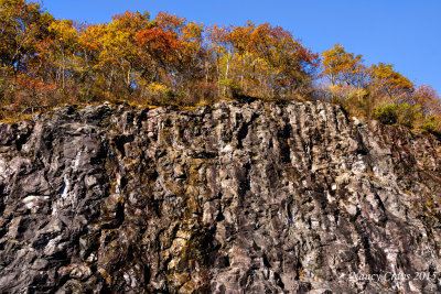 Autumn Leaves Above a Wall of Rock at East Fork Overlook