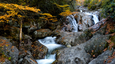 Autumn leaves Along a Waterfall