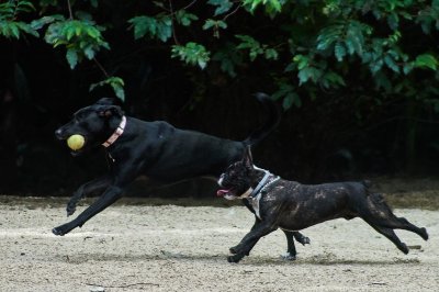 DSC02672a_crop_rs.jpg
