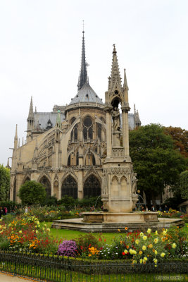 Notre Dame de Paris!