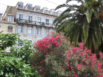 Lisbon and Sintra 78.jpg