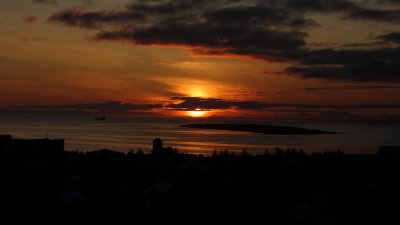 DSC01011.jpg