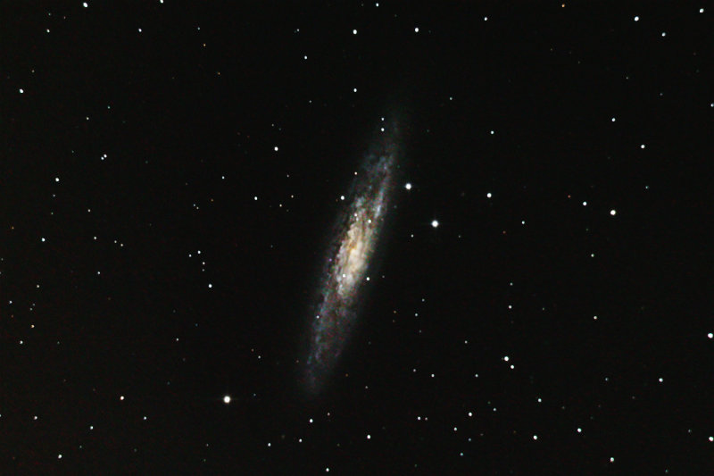 NGC253