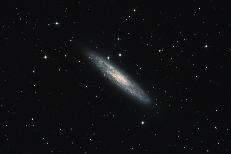 Sculptor Galaxy wider view